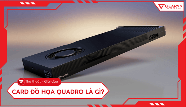 NVIDIA Quadro là gì? Ưu điểm, dành cho ai. Top 5 card phổ biến