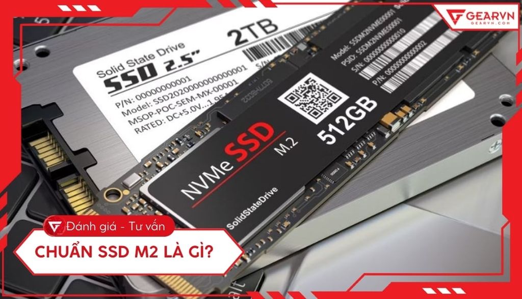 SSD M2 là gì? Phân biệt với SATA, NVMe, cách chọn ổ cứng phù hợp