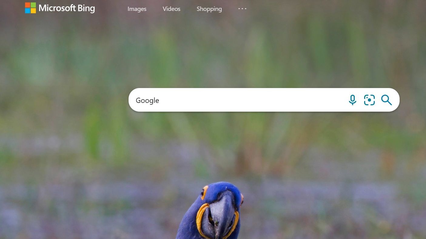 Có thể bạn chưa biết, từ khóa được tìm kiếm nhiều nhất trên Bing là… Google