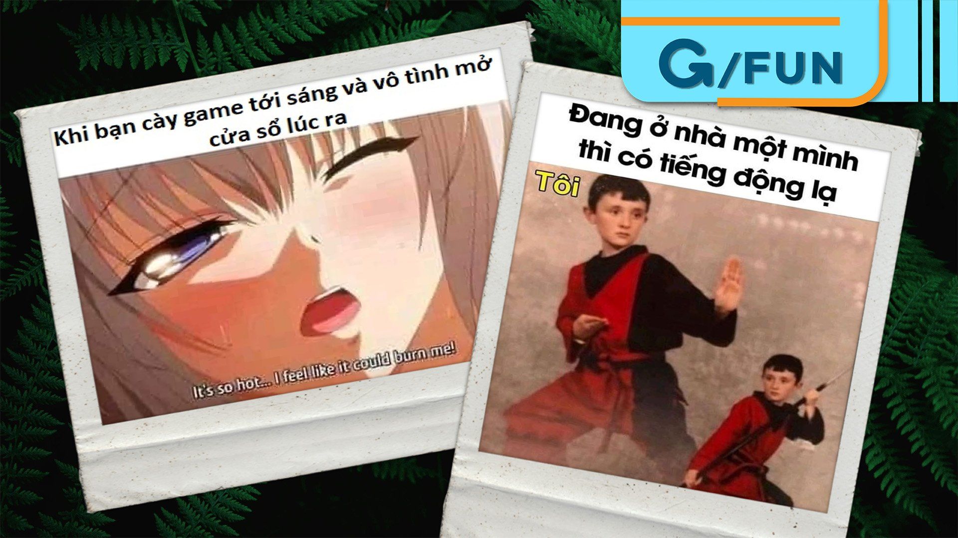 Tổng hợp meme hài hước cuối tuần: Tương lai nhờ nhà vợ, đậu nguyện vọng 1 …