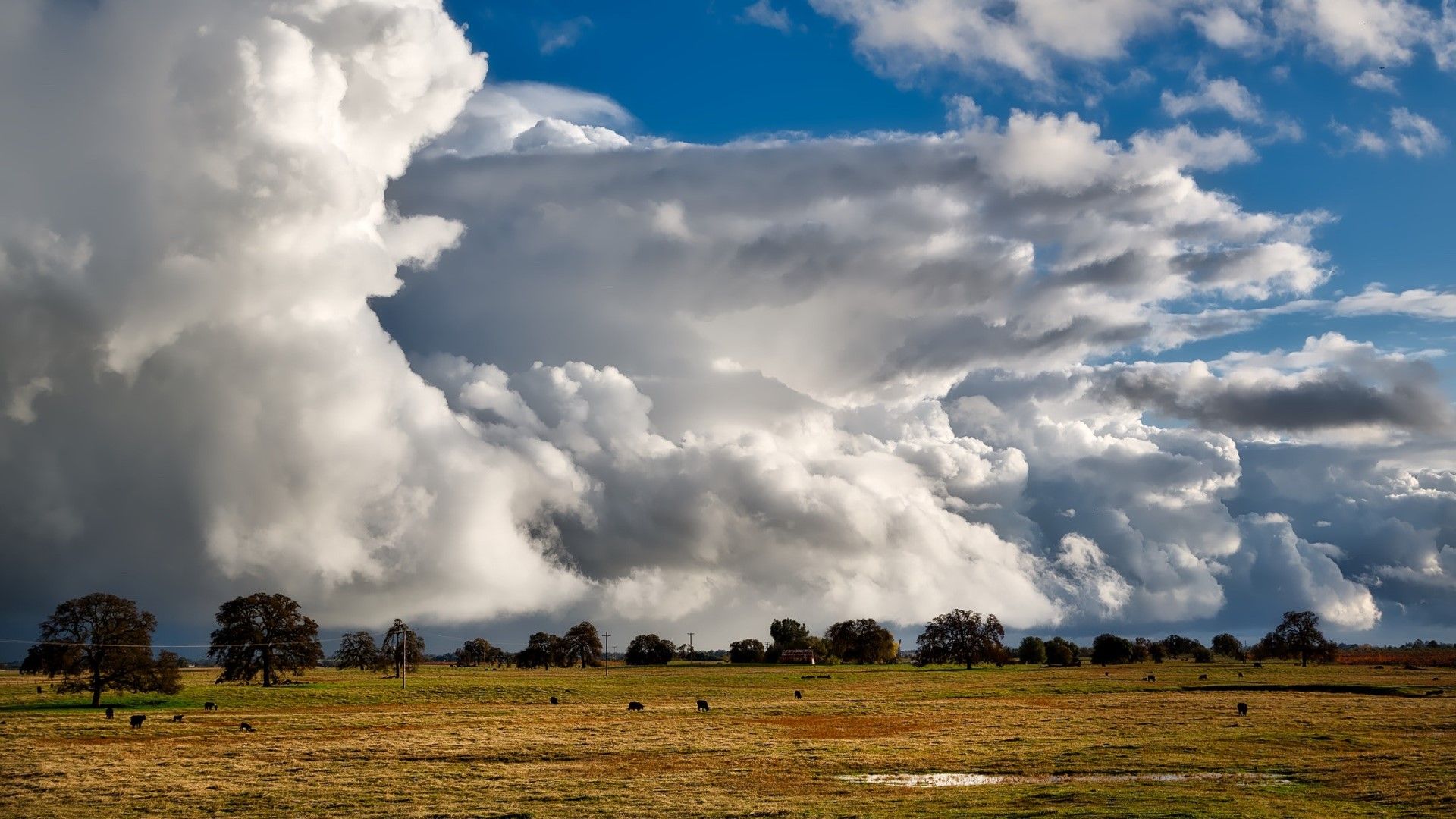 Vì ai cũng cần desktop ấn tượng, mời anh em tải bộ hình nền một buổi chiều yên bình cùng mây và gió