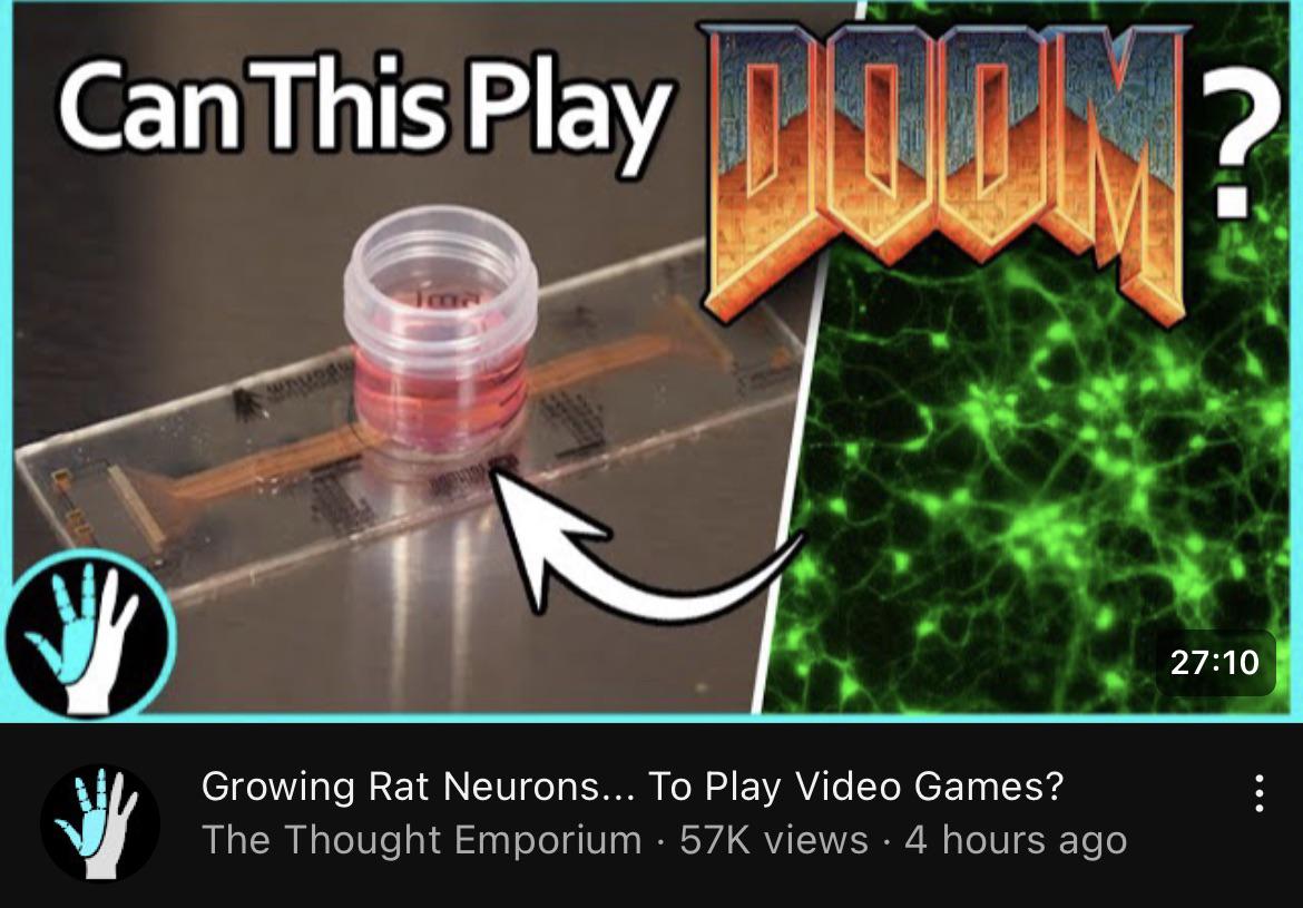 Nghe cứ như phim, Youtuber hóa “bác học điên” nuôi não chuột để chơi… game Doom