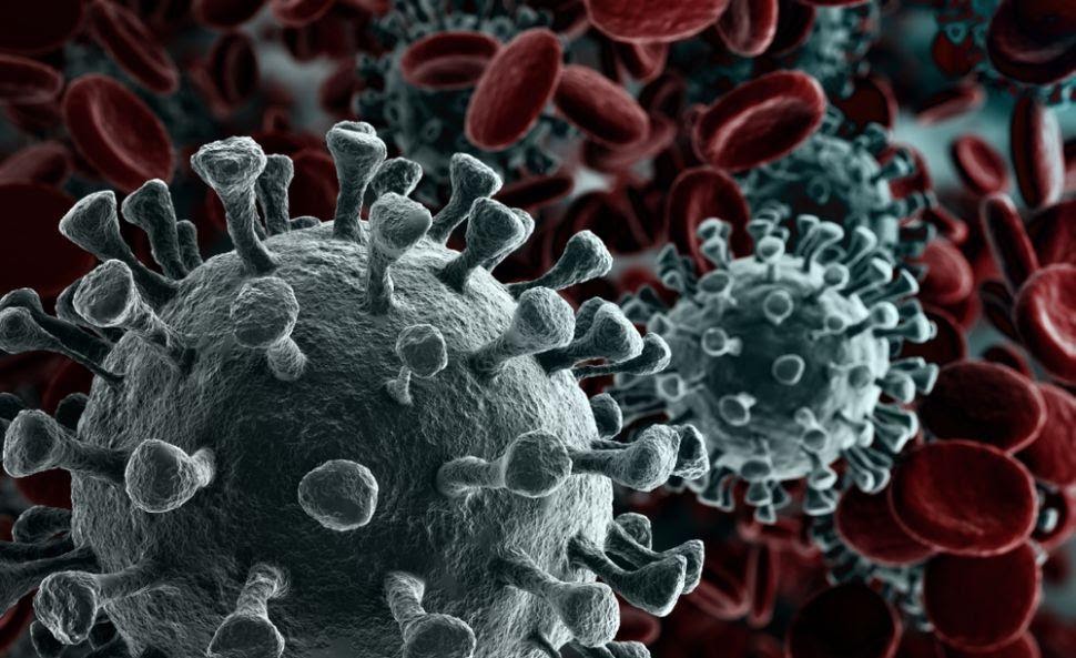 Không chỉ riêng con người, Coronavirus còn “tấn công” cả máy tính nữa