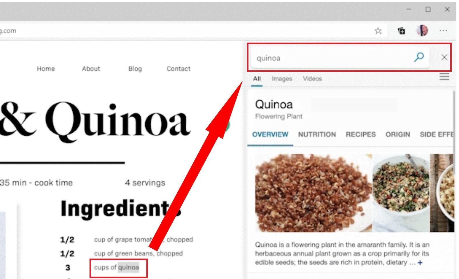 Trình duyệt Edge sắp ra có tính năng Sidebar Search để anh em “Google” thuận tiện hơn