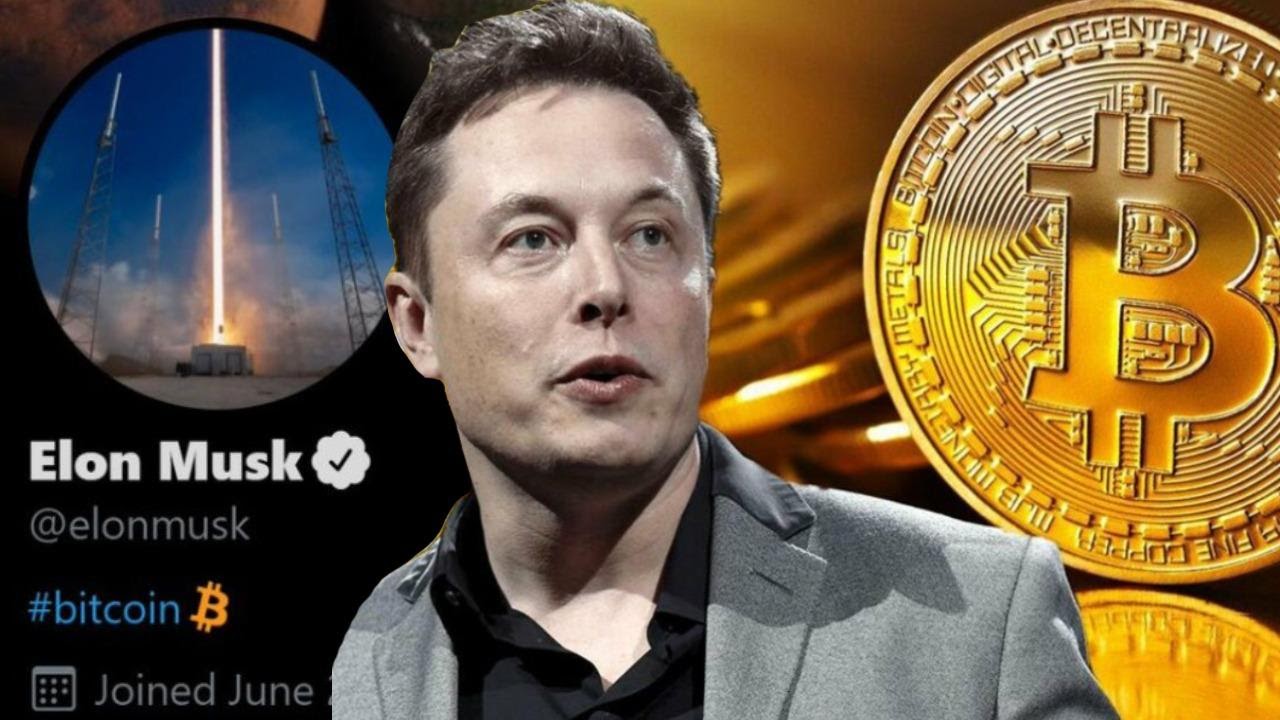 Elon Musk không còn là người giàu nhất thế giới, Bitcoin cũng rớt giá chóng mặt