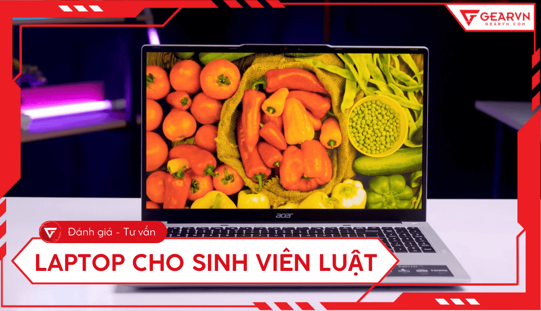Top 11 laptop cho sinh viên Luật cấu hình ổn, giá tốt 2025