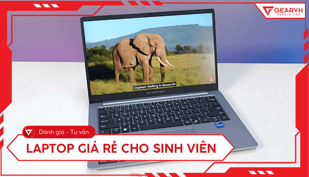 Top 11 laptop giá rẻ cho sinh viên tốt, đáng mua nhất 2025