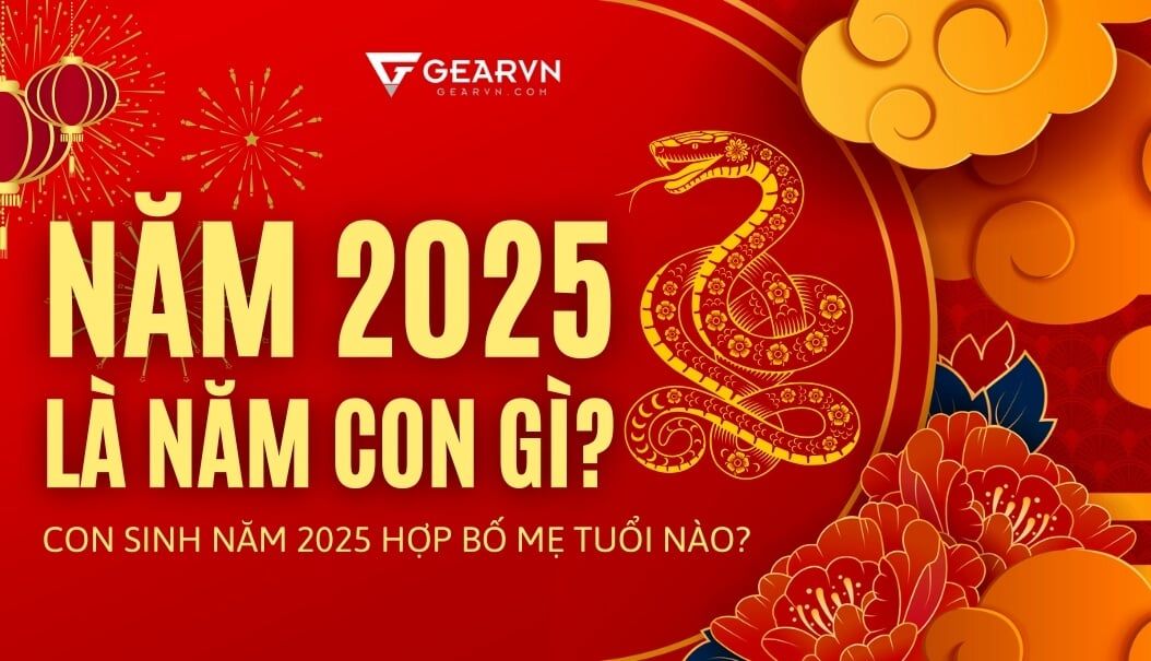 Năm 2025 là năm con gì? Con sinh năm 2025 hợp bố mẹ tuổi nào?