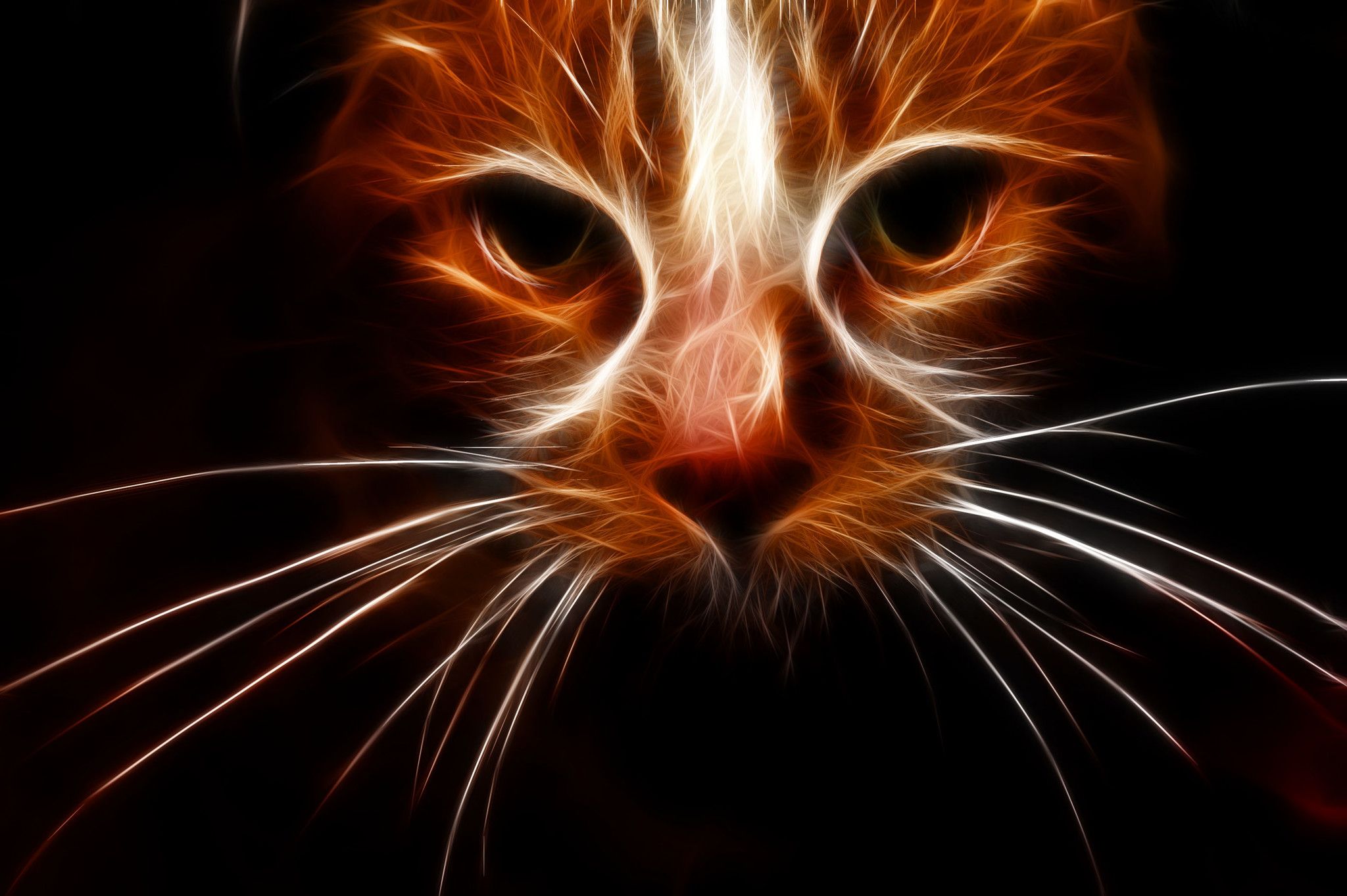 Hướng dẫn biến những nét vẽ nguệch ngoạc thành tác phẩm triệu đô, xả stress cực hiệu quả!