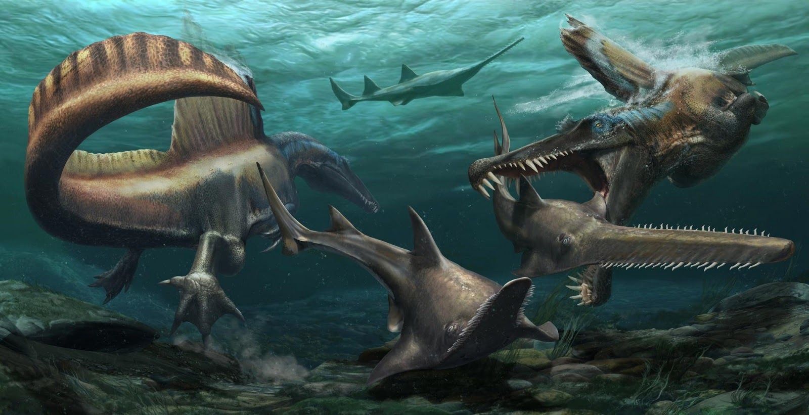 Spinosaurus vốn đã to hơn cả T-Rex nay còn đáng sợ hơn nữa khi được phát hiện khả năng lội nước như Godzilla