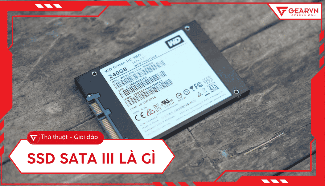 SSD SATA 3 là gì? Ưu nhược điểm, tốc độ, khi nào nên dùng