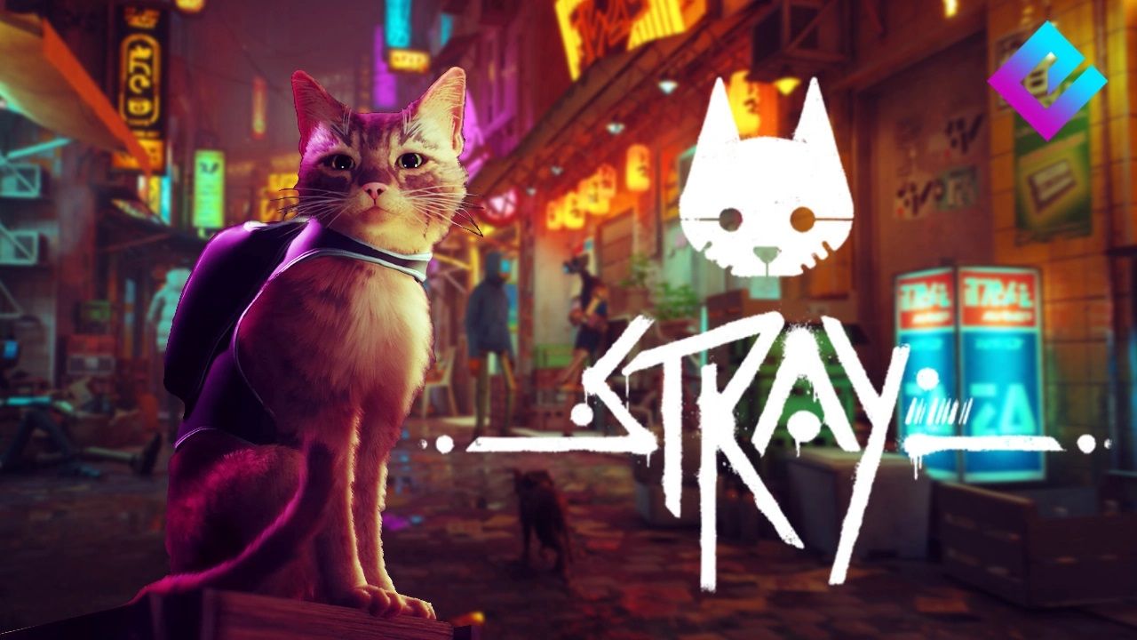 Tổng hợp đánh giá Stray – Một con mèo làm xoay chuyển cả thế giới cyberpunk