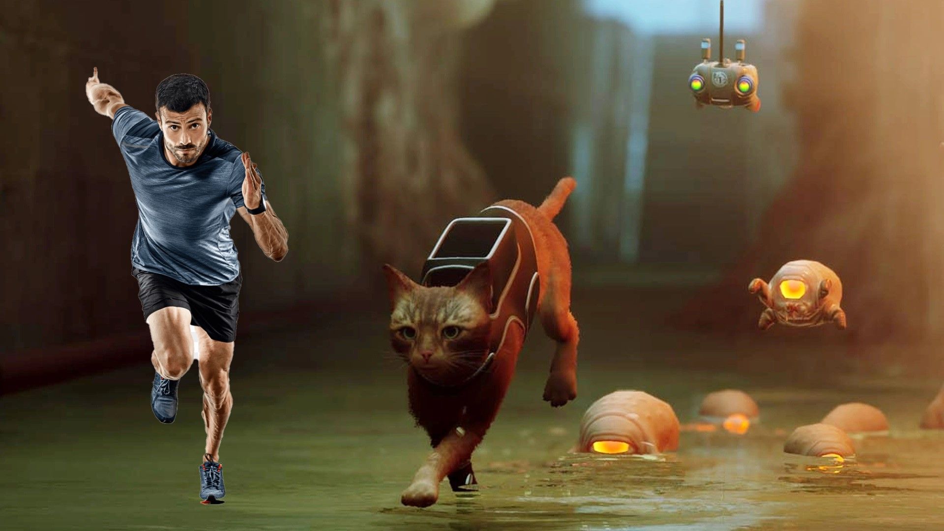 Xuất hiện bản mod cho bạn khám phá Stray bằng cách “hóa mèo” và bước đi trên đôi chân của mình