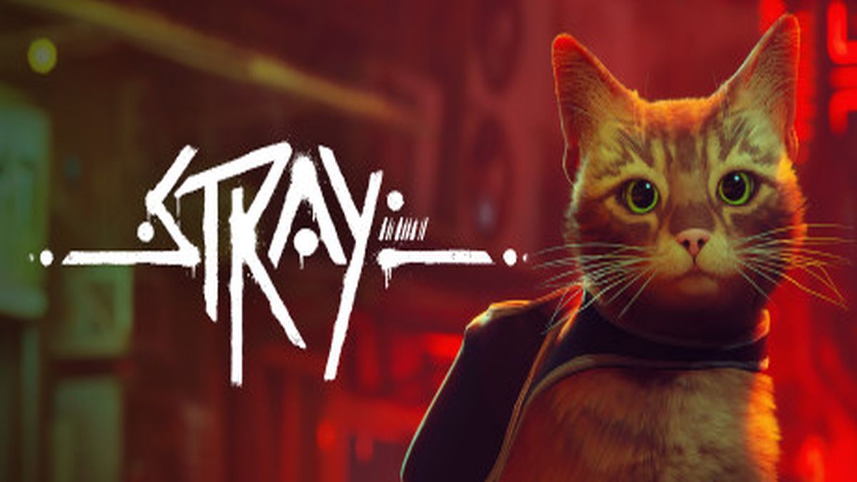 “Phượt thủ” mèo trong game Stray được làm dựa trên con mèo có thật, từng bị lạc lõng giữa phố thị