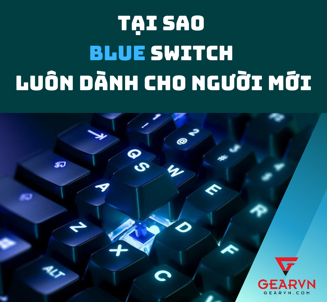 Tại sao blue switch luôn dành cho người mới chơi bàn phím cơ