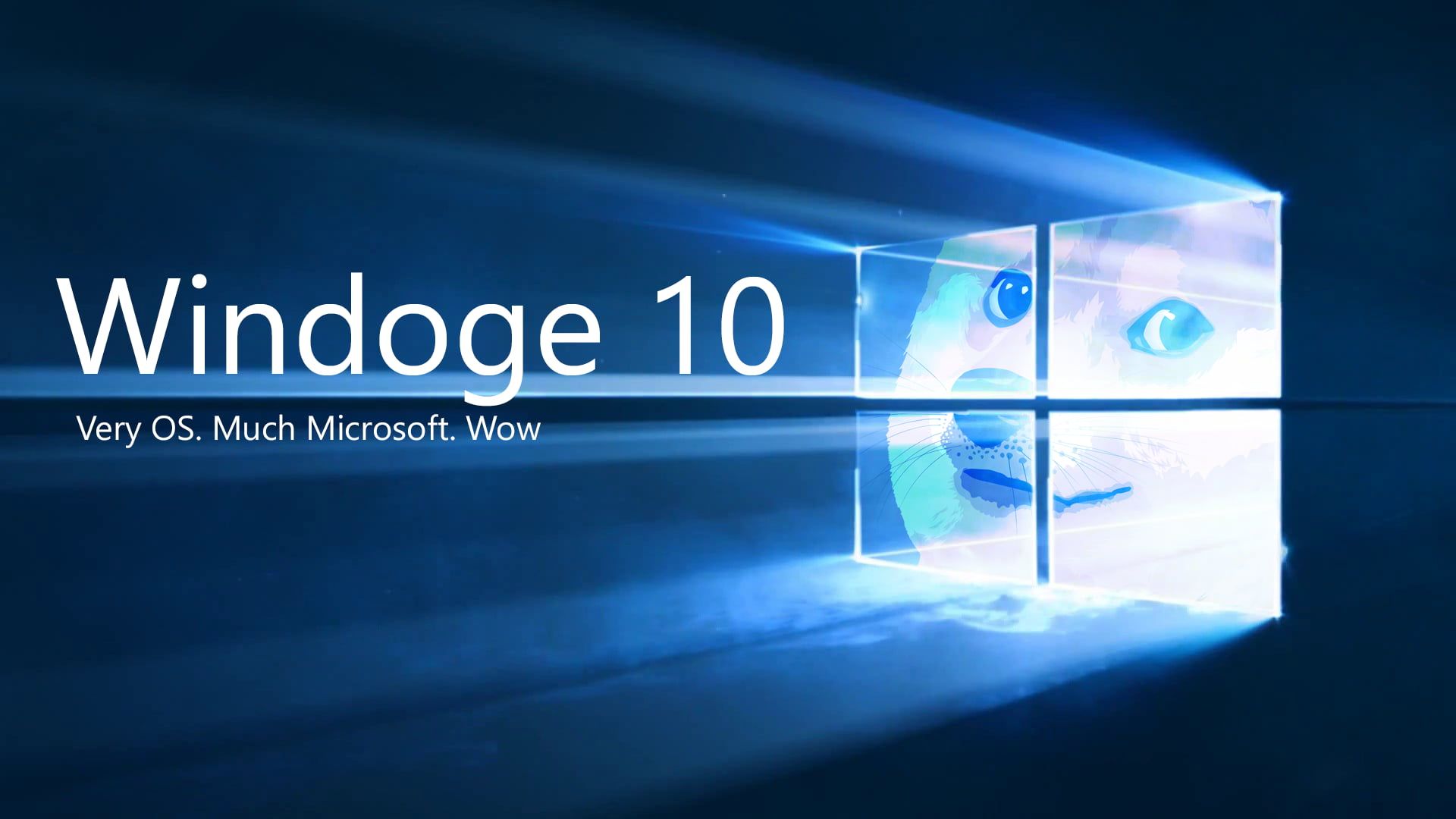 Bản cập nhật mới của Windows 10 2004 lại khiến laptop lẫn người dùng... mất ngủ