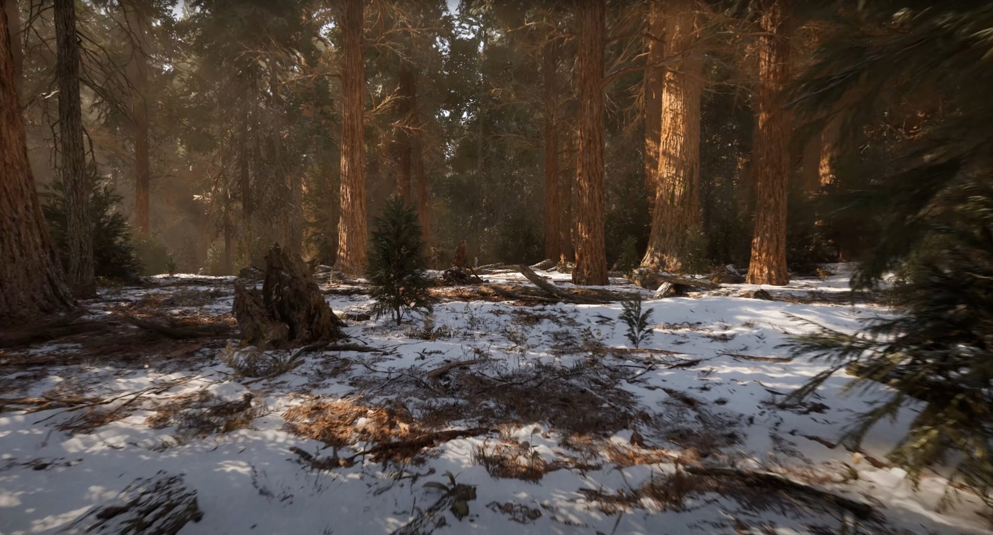 Mời bạn tải bản demo Unreal Engine 5.1 với cảnh rừng gỗ đỏ chi tiết đến mức khó phân biệt thực ảo