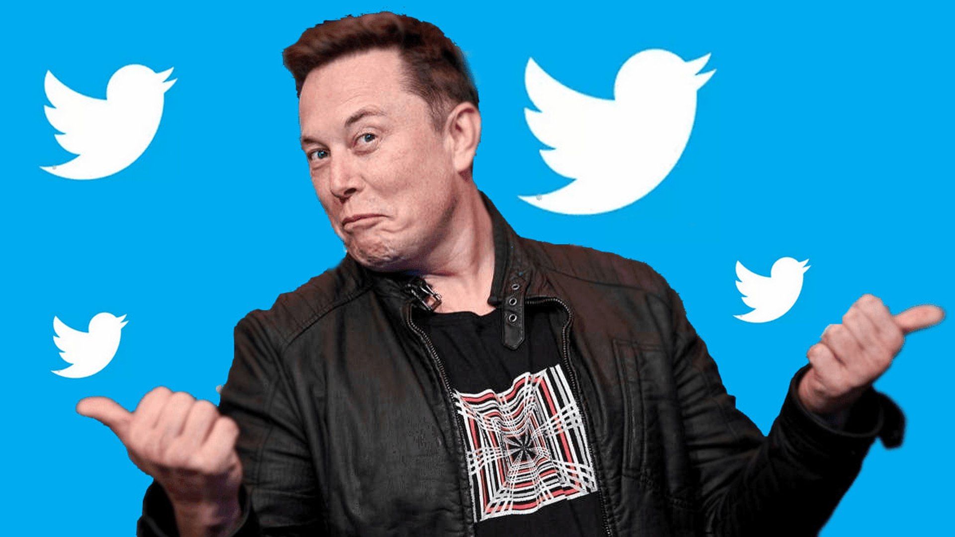 Sau đợt Elon Musk sa thải hết 2/3 nhân sự, giờ thì Twitter đã sẵn sàng để… chiêu mộ nhân tài