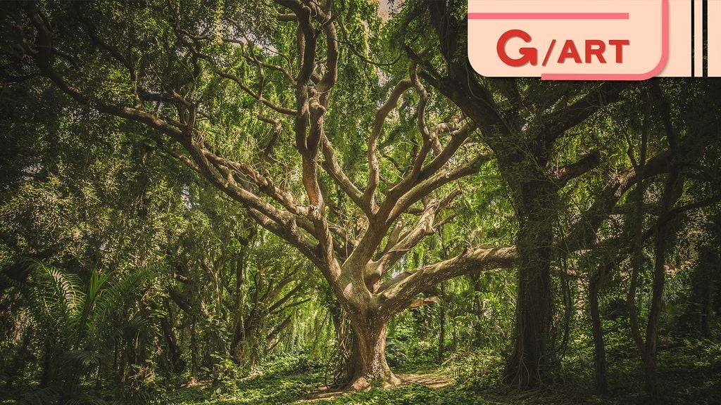 Vì ai cũng cần desktop ấn tượng, mời anh em tải bộ hình nền Rừng là món quà của mẹ thiên nhiên