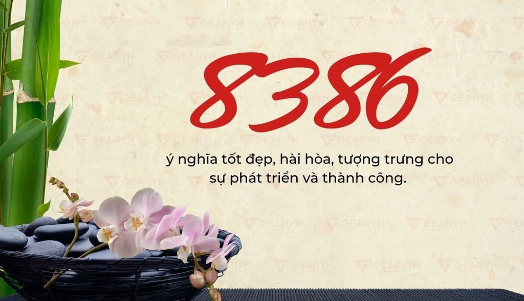 8386 là gì