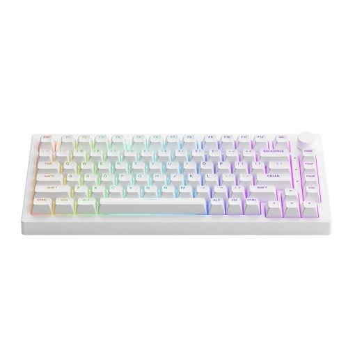 Bàn phím cơ AKKO 5075B Plus White Akko Switch v3 Cream Blue Pro