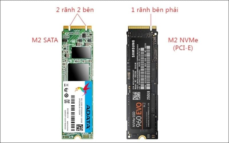 SSD M.2 SATA có 2 rãnh, trong khi SSD M.2 NVMe chỉ có 1 rãnh