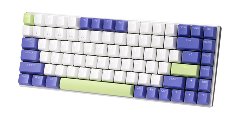 GEARVN-ban-phim-rapoo-v700-a8-white-purple-blue-switch