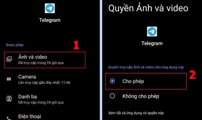 tải video Telegram