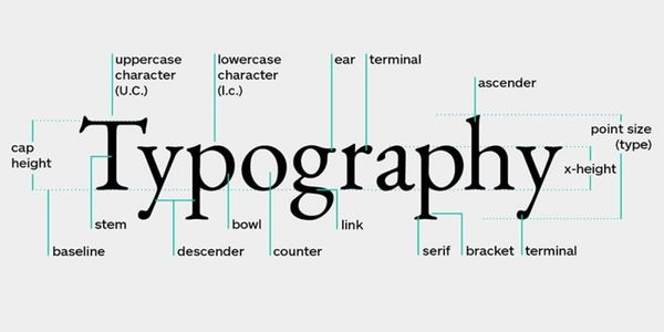 Typography là gì?