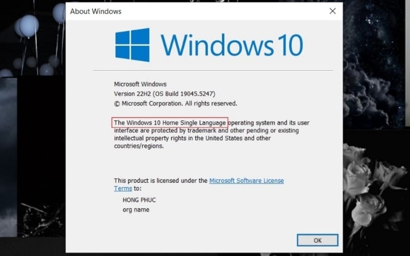 SL trong Windows 10 Home SL là viết tắt của Single Language, có nghĩa là Đơn ngôn ngữ