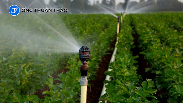 Top mẫu ống nhựa dẻo bền, dễ lắp đặt, phù hợp công trình nhỏ 1