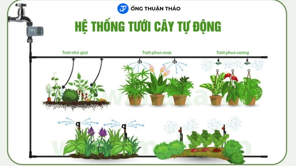 Ở Chung Cư Vẫn Có Thể Trồng Rau, Làm Vườn Nhờ Ống Nhựa PVC 4