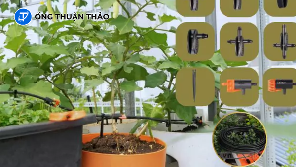 Thiết Kế Hệ Thống Tưới Cây Ban Công Tự Động Bằng Ống PVC 5