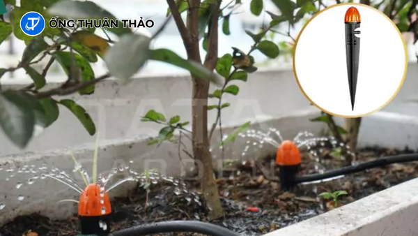 Thiết Kế Hệ Thống Tưới Cây Ban Công Tự Động Bằng Ống PVC 3