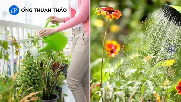 Thiết Kế Hệ Thống Tưới Cây Ban Công Tự Động Bằng Ống PVC 1