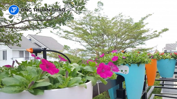 Thiết Kế Hệ Thống Tưới Cây Ban Công Tự Động Bằng Ống PVC 2