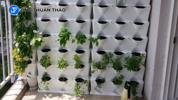 Ở Chung Cư Vẫn Có Thể Trồng Rau, Làm Vườn Nhờ Ống Nhựa PVC 1