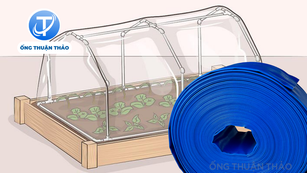 Làm Nhà Kính Mini Từ Ống Bạt: Dự Án Xanh Cho Người Yêu Trồng Cây 4