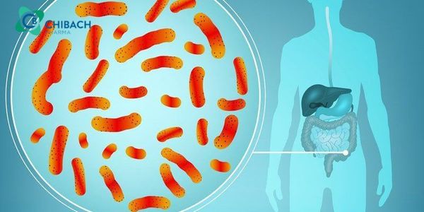 Nhiễm trùng đưởng ruột: Biết để bảo vệ bản thân mình