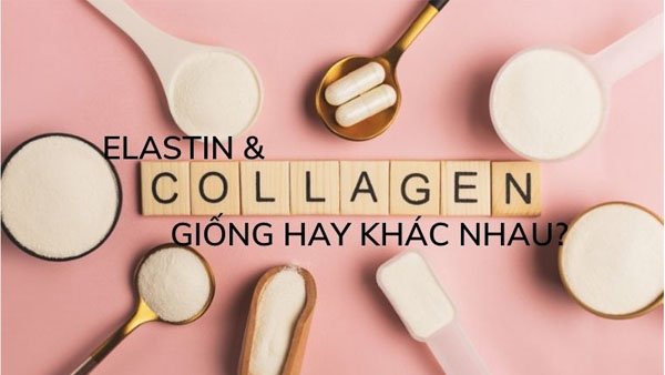 Elastin là gì? Công dụng của elastin và collagen đối với da