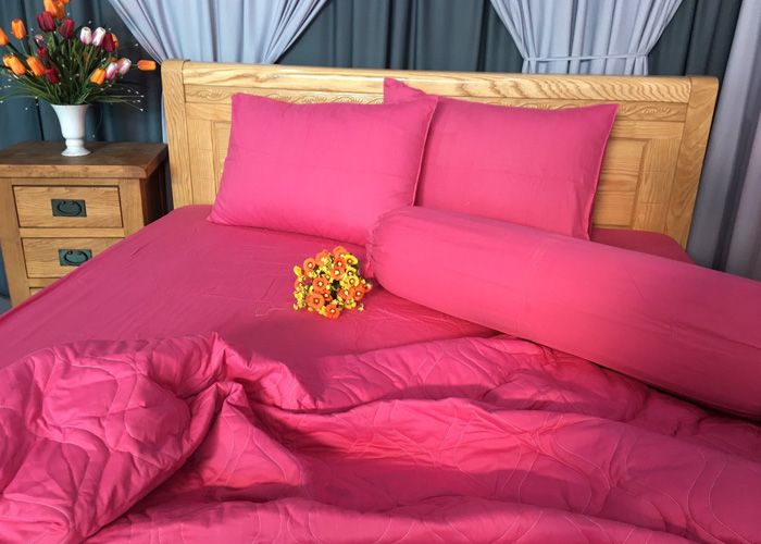 Chọn bộ drap cotton theo màu tường phòng ngủ