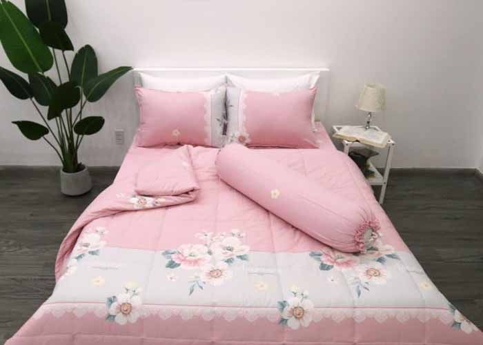 05 Bộ drap Cotton sang trọng nhất bạn không nên bỏ qua
