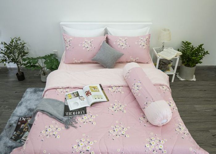 99+ Bộ Drap Cotton bán chạy nhất 2021