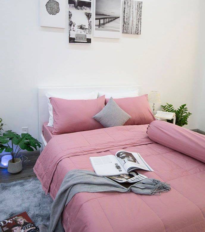 TẠI SAO NHỮNG BỘ DRAP GIƯỜNG COTTON LUÔN HOT?