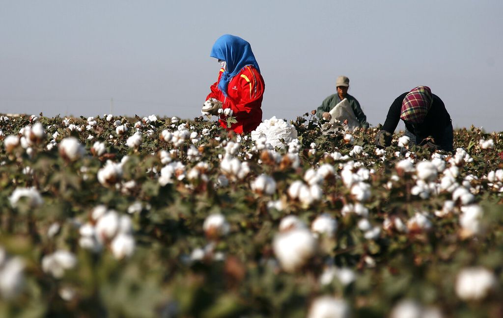 TÌM HIỂU VỀ DRAP GIƯỜNG COTTON