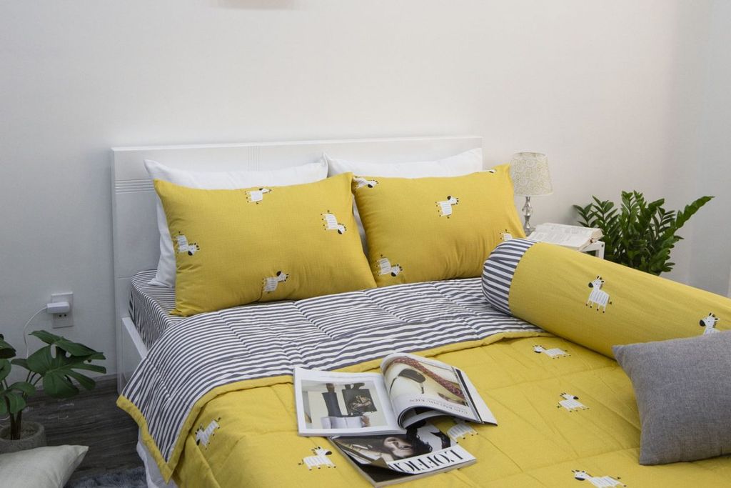 DRAP GIƯỜNG UY TÍN