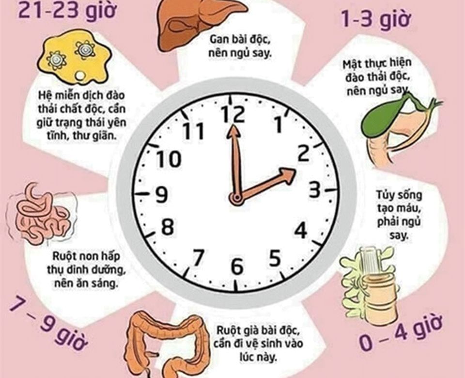GIẤC NGỦ QUAN TRỌNG NHƯ THẾ NÀO?