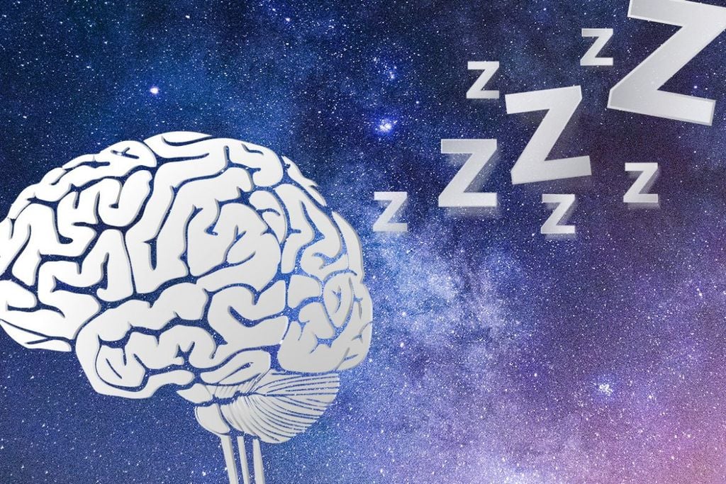 TẦM QUAN TRỌNG CỦA GIẤC NGỦ