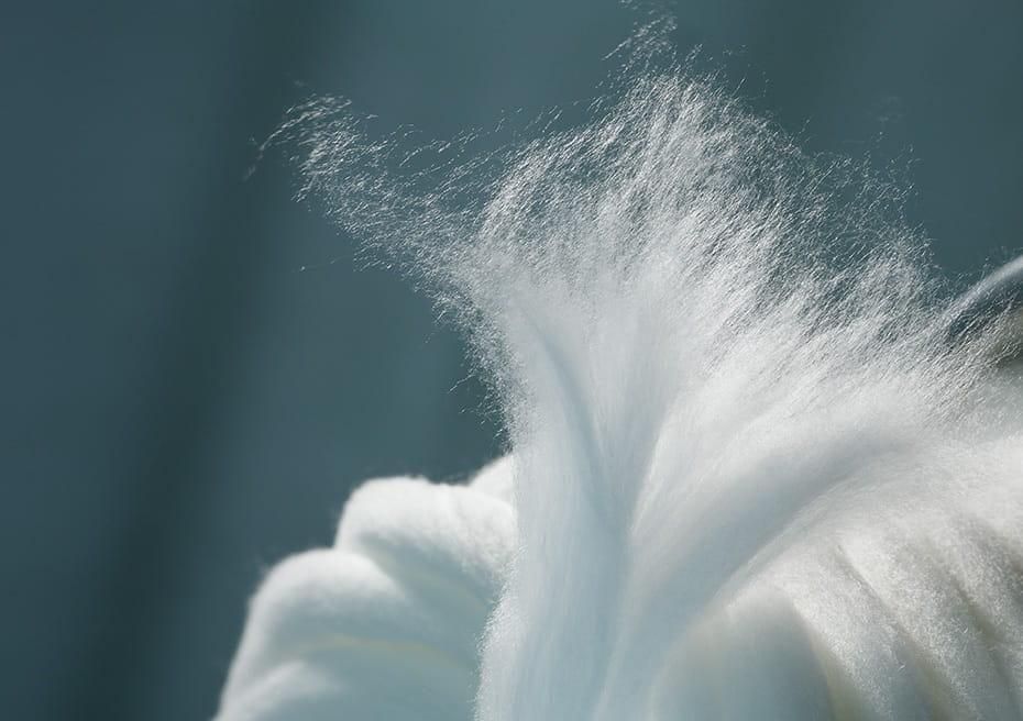 TÌM HIỂU VỀ CHẤT LIỆU VẢI TENCEL