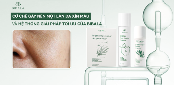 CƠ CHẾ GÂY NÊN MỘT LÀN DA XỈN MÀU VÀ HỆ THỐNG GIẢI PHÁP TỐI ƯU CỦA BIBALA